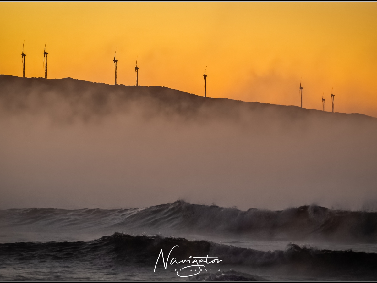 Windmills in the Mist